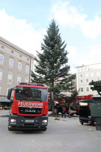 Aufstellen des Christbaumes vor der Residenz durch die Berufsfeuerwehr | Foto: Neumayr