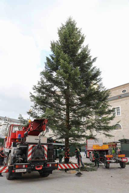 Aufstellen des Christbaumes vor der Residenz durch die Berufsfeuerwehr | Foto: Neumayr