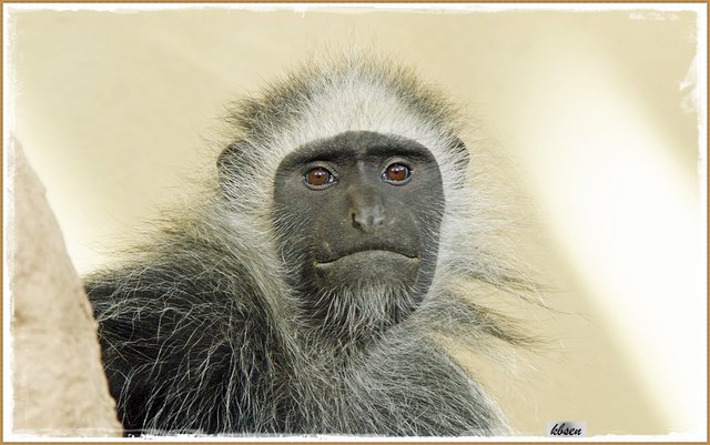 i mach mein Mund net auf