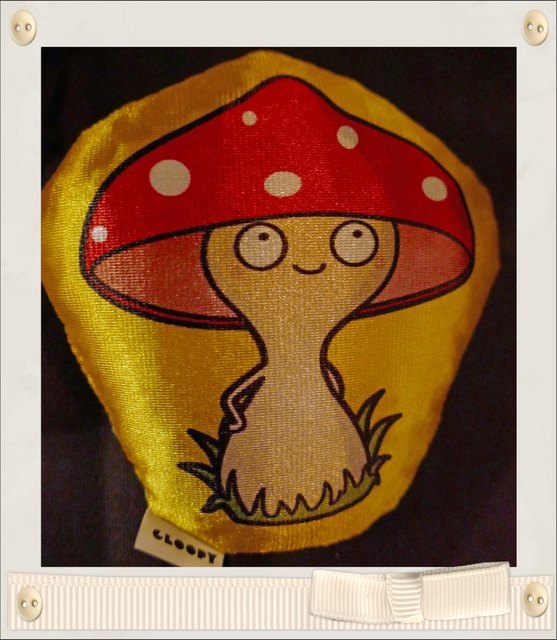 cloopy