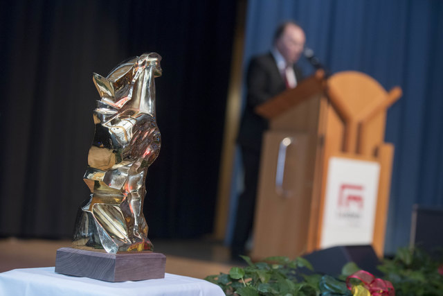 Leoben, Oesterreich,18.11.2017,Chronik. Bild zeigt ein Feature von der Straussgala 2017. 