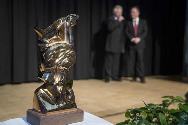 Leoben, Oesterreich,18.11.2017,Chronik. Bild zeigt ein Feature von der Straussgala 2017. 