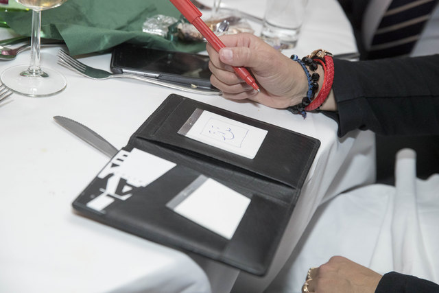 Leoben, Oesterreich,18.11.2017,Chronik. Bild zeigt ein Feature von der Straussgala 2017. 