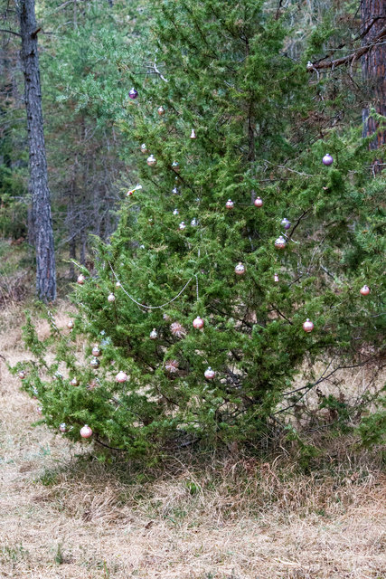 Bild 033 © Ing. Günter Kramarcsik