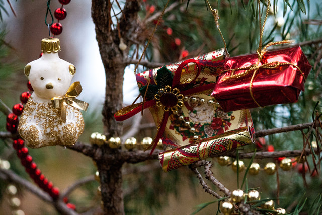 Bild 024 © Ing. Günter Kramarcsik