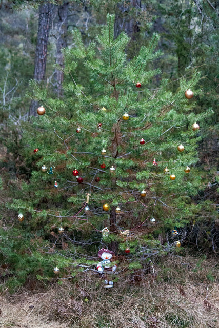 Bild 034 © Ing. Günter Kramarcsik