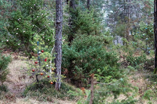 Bild 016 © Ing. Günter Kramarcsik