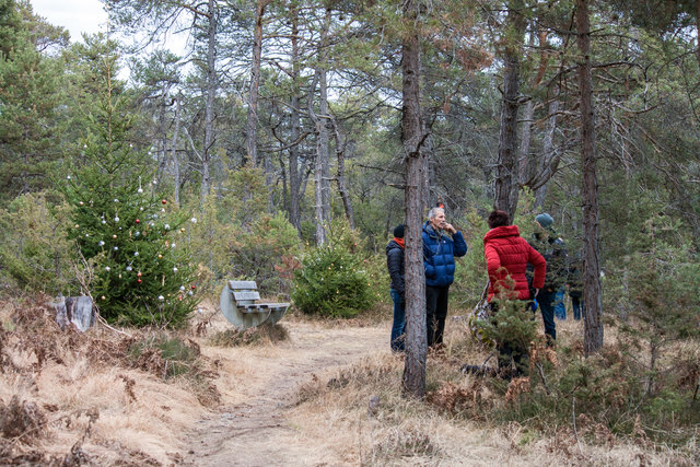 Bild 025: mit Markierungspunkt Nr. IV in Übersichtskarte. 1. Sitzbank für müde Wanderer. © Ing. Günter Kramarcsik