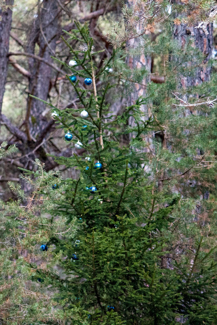 Bild 036 © Ing. Günter Kramarcsik