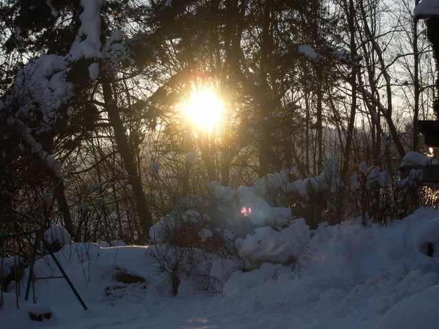 Am Ende des Trauerprozesses ist es für viele Betroffene oft ein einziger Lichtstrahl, der ihnen den Lebensmut wiederbringt | Foto: MM