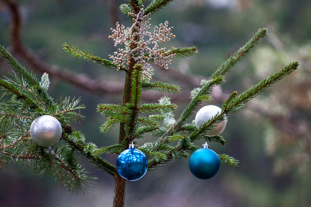 Bild 037 © Ing. Günter Kramarcsik