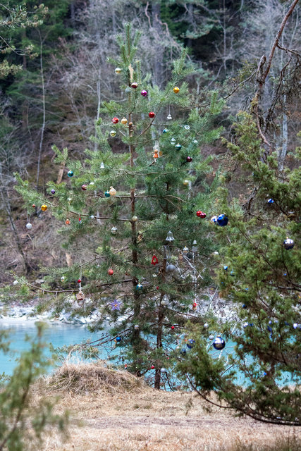 Bild 027 © Ing. Günter Kramarcsik