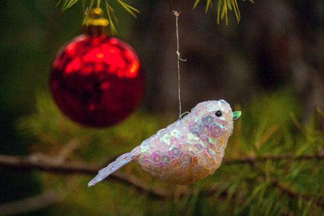 Bild 038 © Ing. Günter Kramarcsik