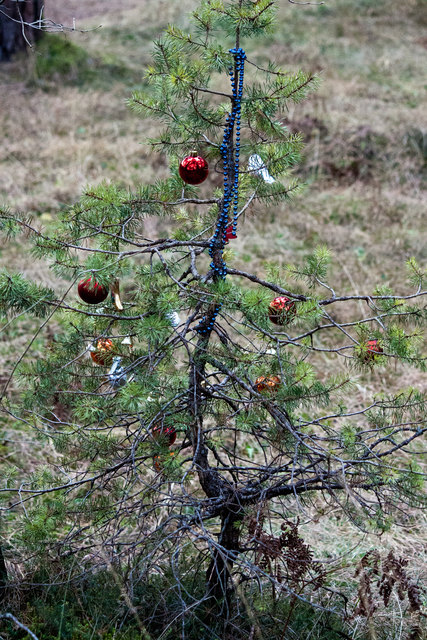 Bild 028 © Ing. Günter Kramarcsik