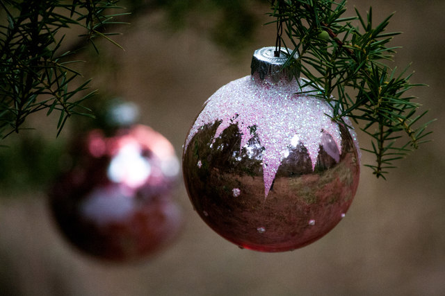 Bild 039 © Ing. Günter Kramarcsik