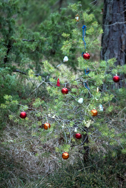 Bild 029 © Ing. Günter Kramarcsik