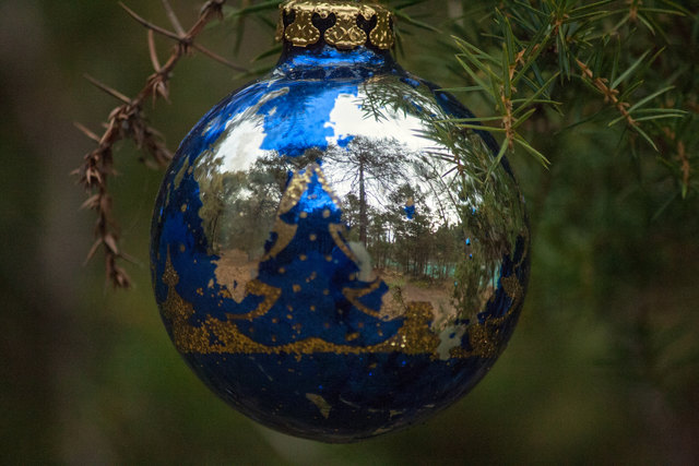 Bild 050 © Ing. Günter Kramarcsik