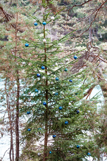 Bild 20 © Ing. Günter Kramarcsik