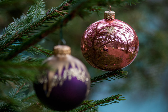 Bild 021: Vollbildmodus wegen Landschaftsspiegelung in roter Kugel. © Ing. Günter Kramarcsik