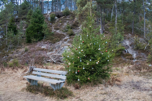 Bild 051: rund um diese 1. Sitzbank gibt es sehr viele weihnachtlich geschmückte Bäume. © Ing. Günter Kramarcsik