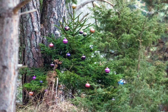 Bild 013 © Ing. Günter Kramarcsik