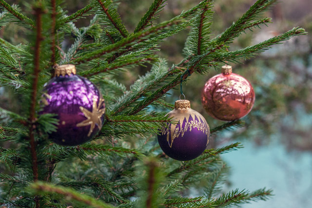 Bild 022: unterschiedlicher Christbaumschmuck kann entdeckt werden.  © Ing. Günter Kramarcsik