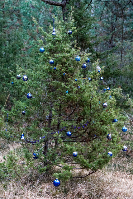 Bild 032 © Ing. Günter Kramarcsik