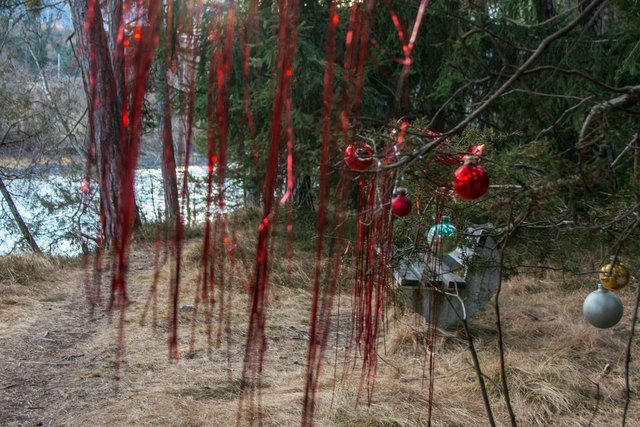 Bild 052: nach wenigen Hundert Meter gelangt man zur 2. Sitzbank, bevor sich der Steig von Innufer nach oben zum Innradweg erstreckt. © Ing. Günter Kramarcsik