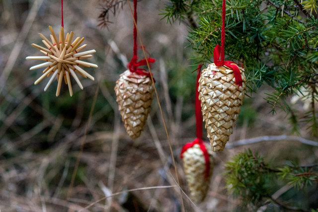 Bild 063: unbedingt VOLLBILDMODUS, damit man die aus Stroh gefertigten Zapfen besser erkennen kann! Tolles handwerkliches Geschick ist dafür sicher erforderlich! © Ing. Günter Kramarcsik