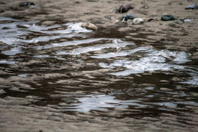 Bild 005: Innufer in unterschiedlichsten Varianten. © Ing. Günter Kramarcsik