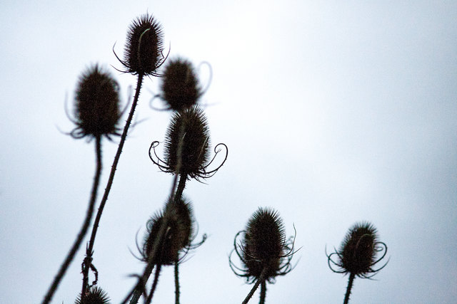 Bild 74 © Ing. Günter Kramarcsik