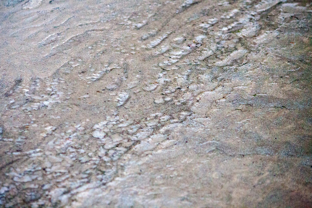 Bild 006: Innufer in unterschiedlichsten Varianten. © Ing. Günter Kramarcsik