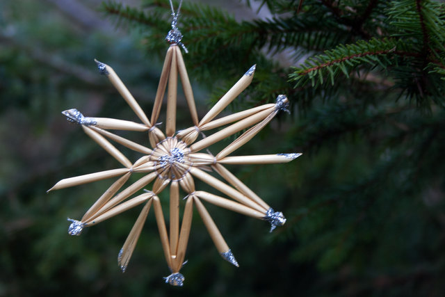 Bild 065 © Ing. Günter Kramarcsik