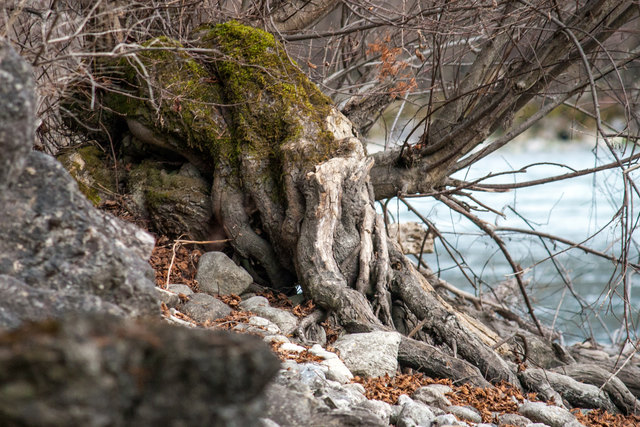 Bild 009: Innufer in unterschiedlichsten Varianten. © Ing. Günter Kramarcsik