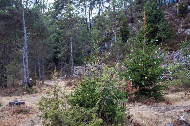 Bild 058 © Ing. Günter Kramarcsik