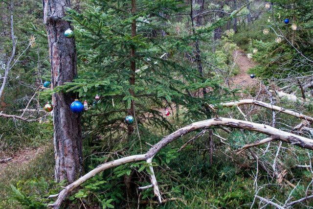 Bild 068 © Ing. Günter Kramarcsik