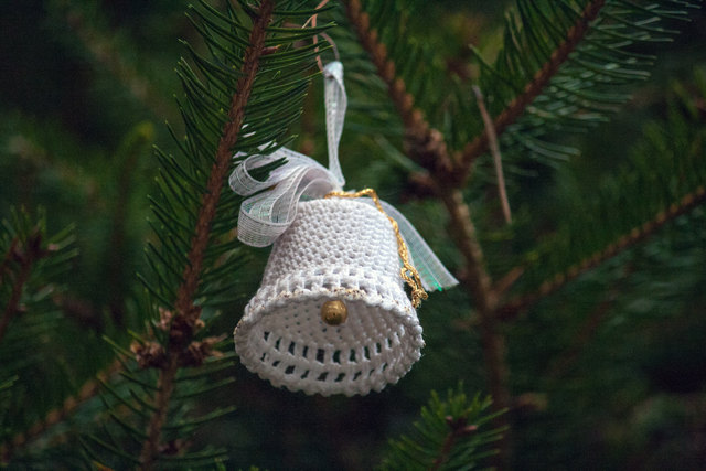 Bild 059 © Ing. Günter Kramarcsik