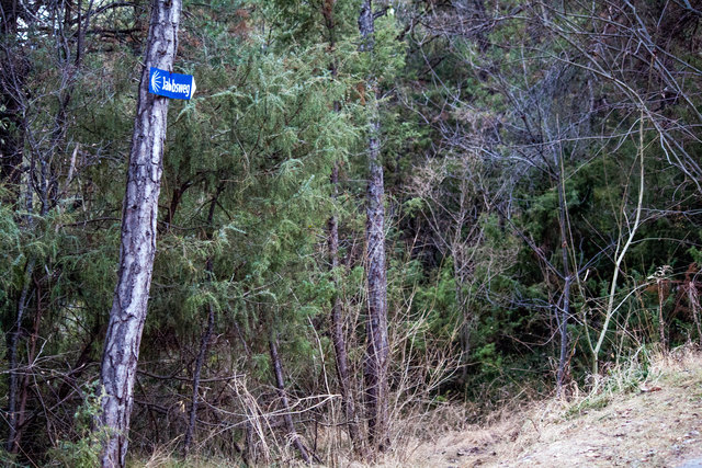 Bild 070 mit Markierungspunkt Nr. V in Übersichtskarte. Von Osten auf dem Innradweg kommend ist die Abkürzung über den "Christbaum Steig" für den Jakobswegwanderer leicht zu übersehen. © Ing. Günter Kramarcsik
