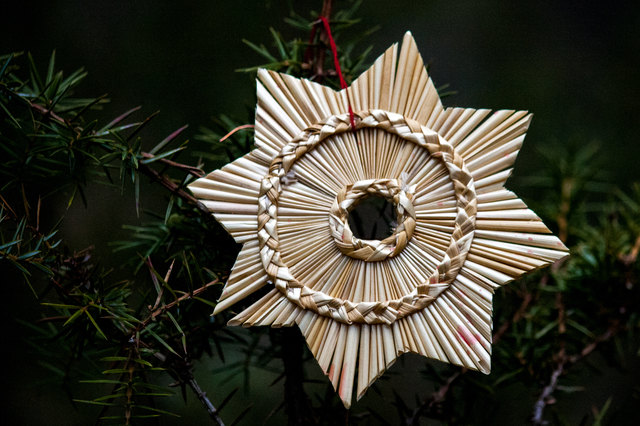 Bild 062 © Ing. Günter Kramarcsik