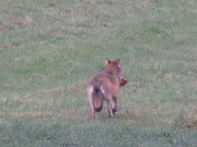 Foto: Karl Bauernfeind