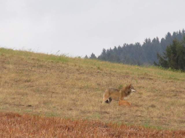Foto: Karl Bauernfeind