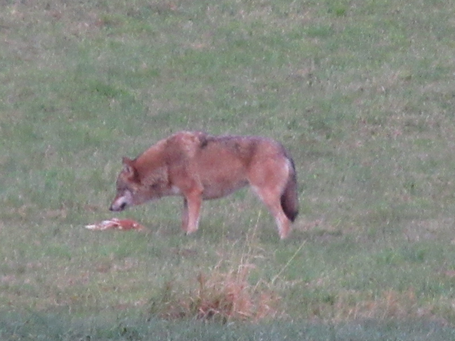 Foto: Karl Bauernfeind