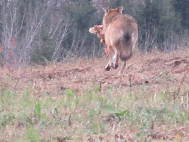 Foto: Karl Bauernfeind