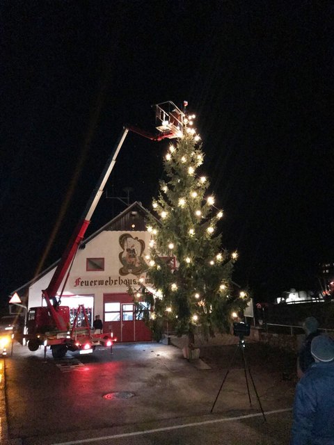 Der Baum vor dem Zeughaus der FW Perneck ist 12,5 Meter hoch. | Foto: FW Perneck