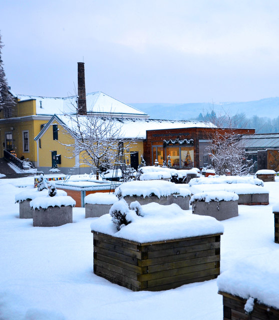 Gärtnerei, Gartentherapie