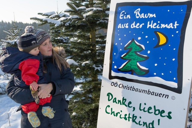 Mit jedem Kauf eines Baumes von einem der OÖ Christbaumbauern wird ein Euro in Wiederaufforstungsaktivitäten in Tansania investiert.