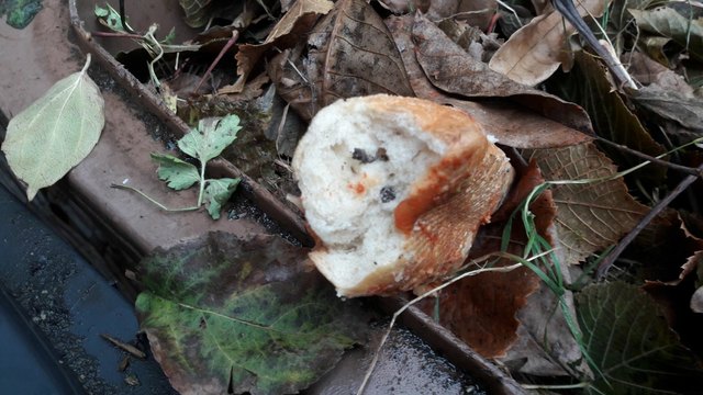 Dieses Brotstück wurde mit Nägeln versetzt und auf einem Grund in Bärnbach gefunden. | Foto: KK