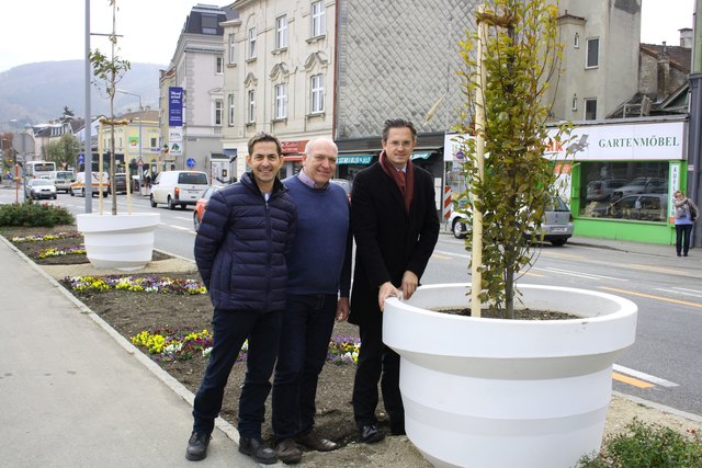 Überdimensionale Blumentöpfe mit Zierkirschen zieren den Straßenrand.