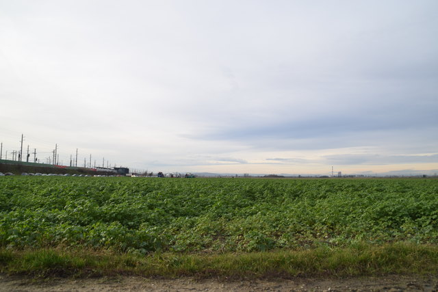 Grün-Weiß auf der grünen Wiese? Tullnerfeld als zweiter Standort für Rapid-Trainingszentrum, Entscheidung fällt 2018. | Foto: Zeiler
