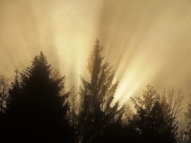 Im Nebel des kalten Morgens ein kurzer Sonnenstrahl